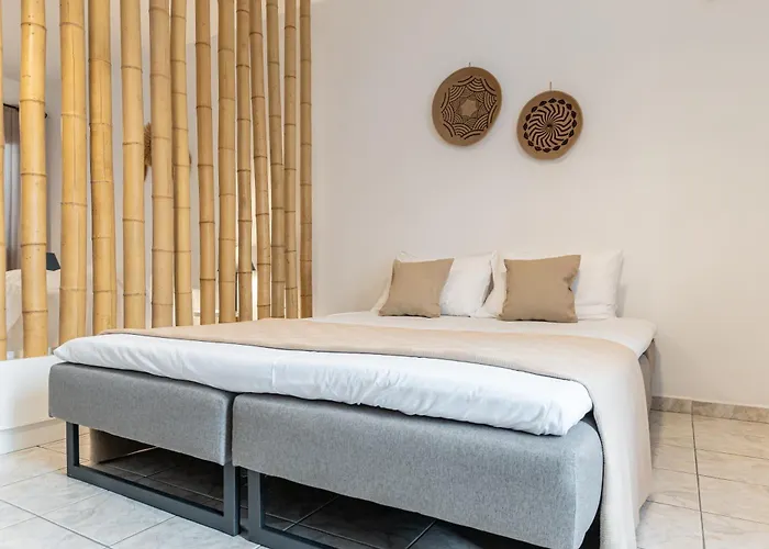 Apartment Optasia - Naxos Center 2 Naxos City